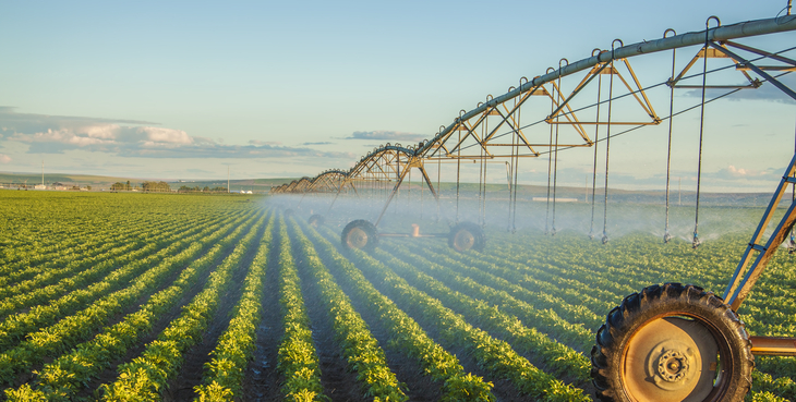 Agricultural and forest technology